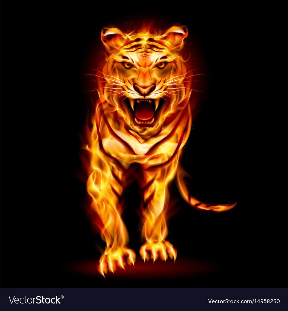 Огненный тигр вектор