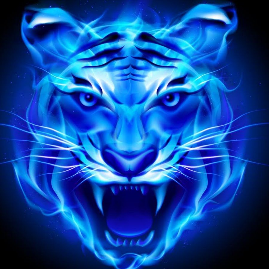 Fire Tiger группа