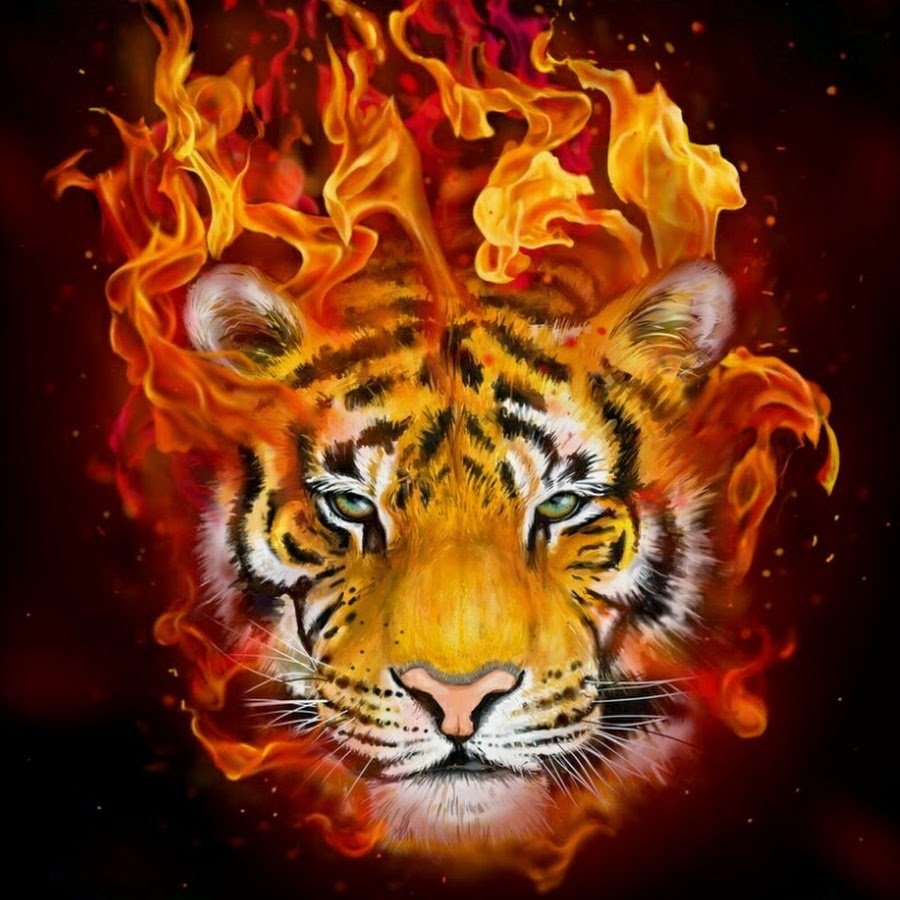 Фаер Тайгер