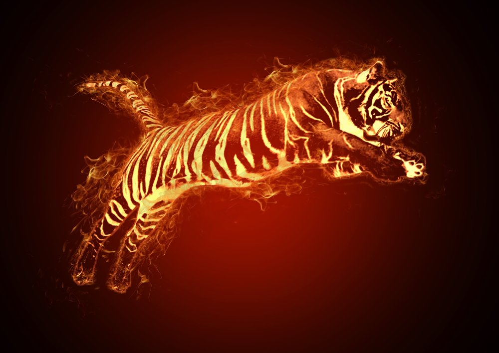 Огненный тигр 1986