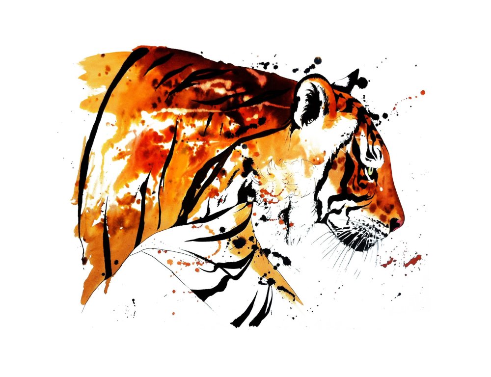 Тигр Графика