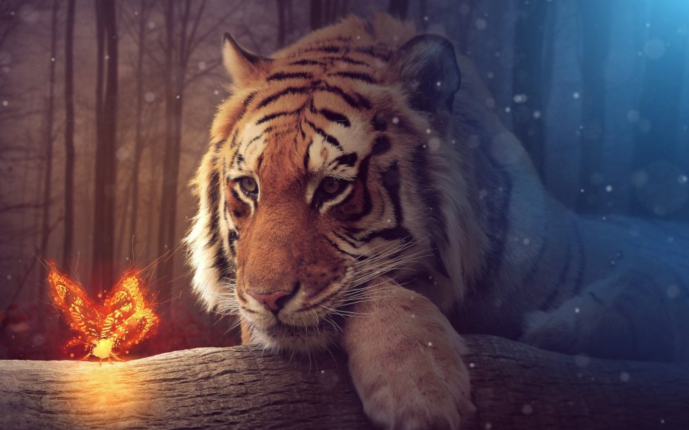 Красивый тигр