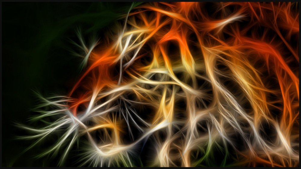 Фракталы огонь