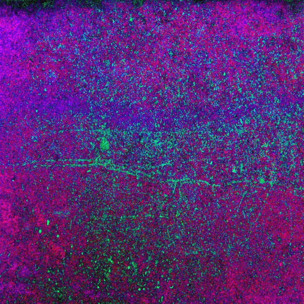 Кислотно фиолетовый