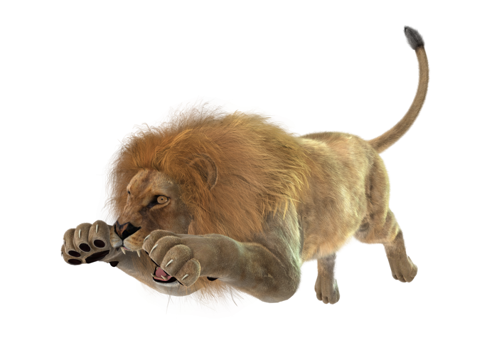 Король Лев на горе фильм