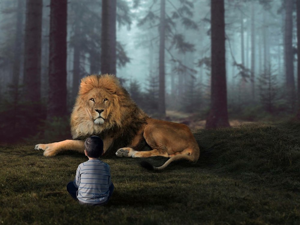 Прыгающий Лев на белом фоне