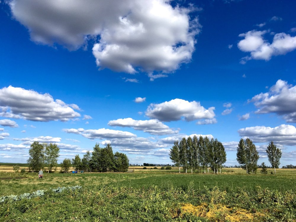 Белорусский орнамент Восьмирог