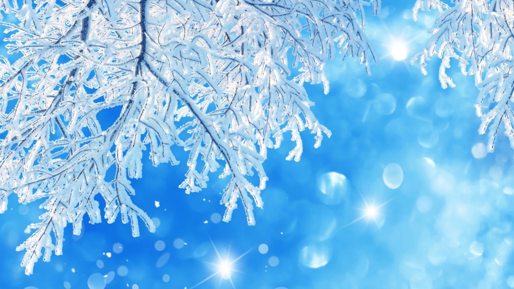 Зимний фон для фотошопа