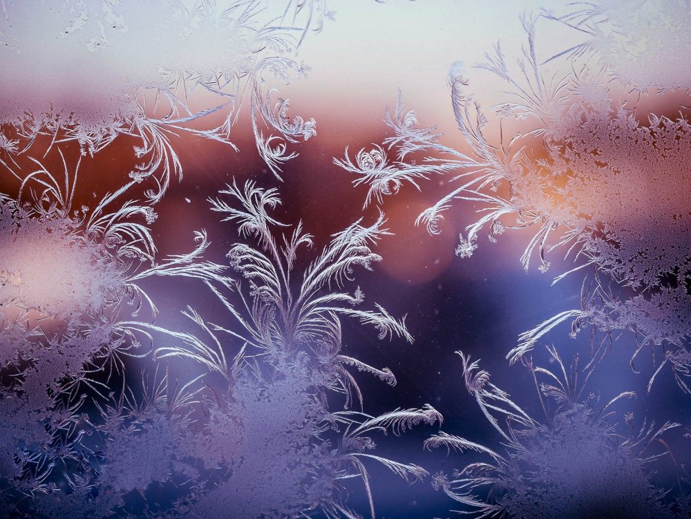 Зимний фон для портрета