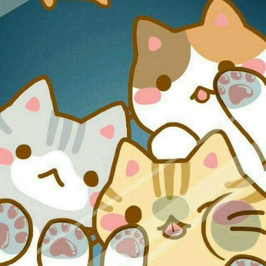 Кавайные котики много