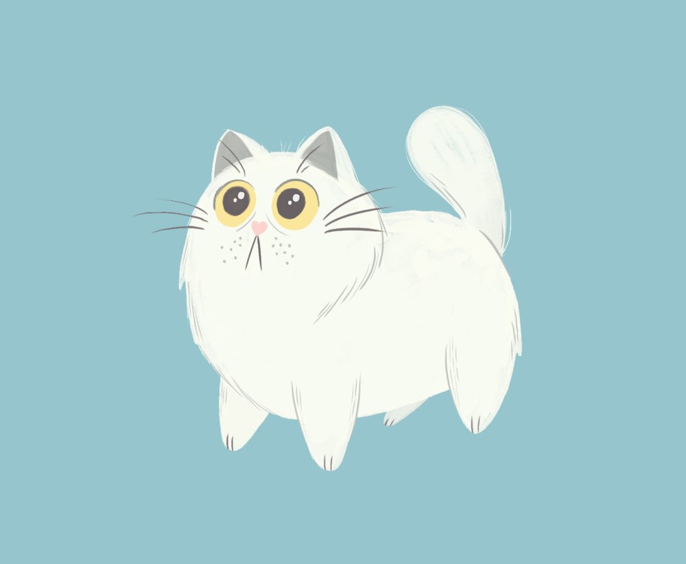 Котик на белом фоне