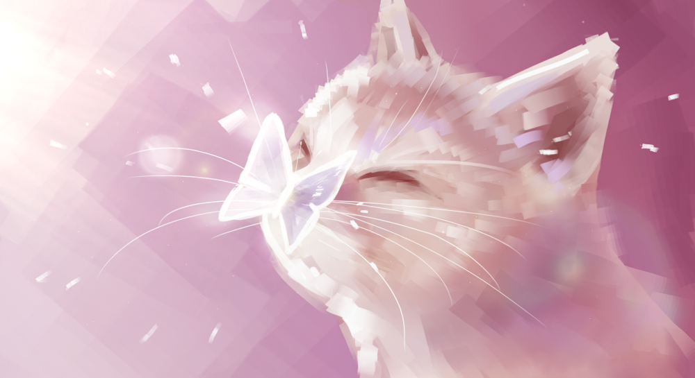 Котик с бабочкой на носу