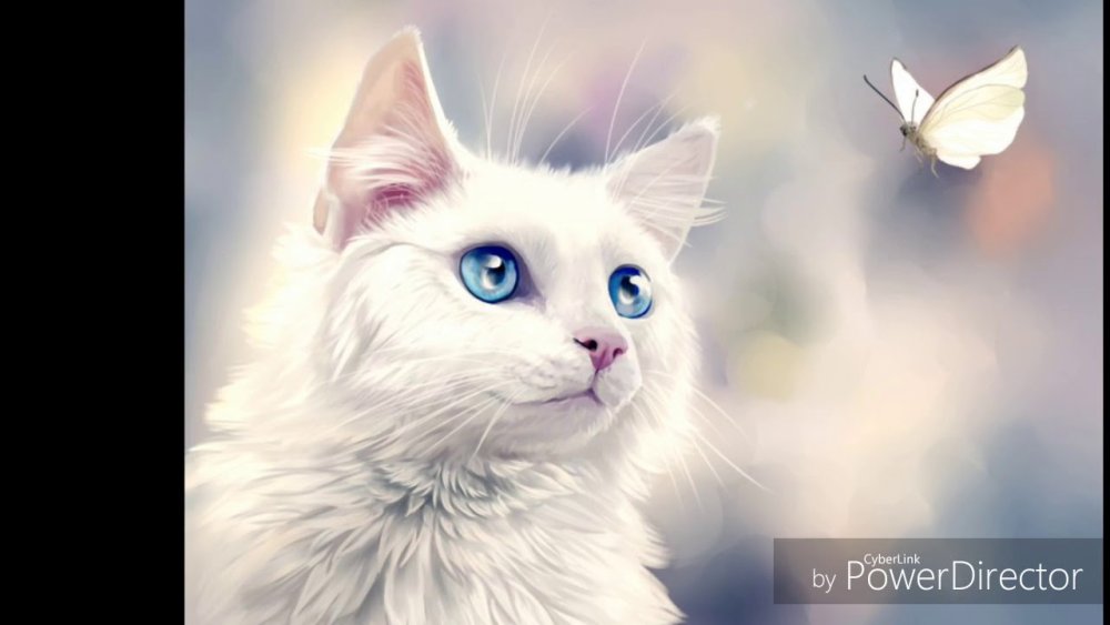 Красивая белая кошка