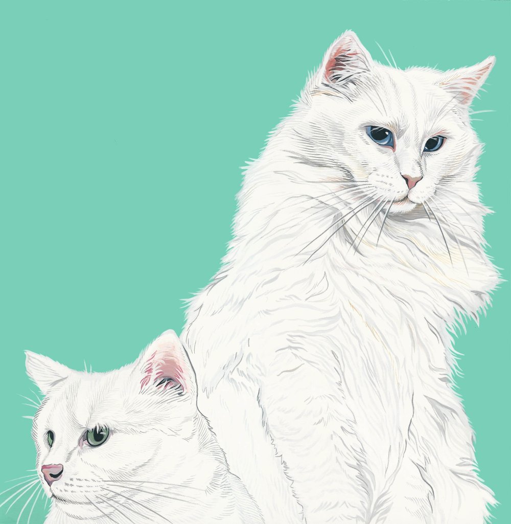 Няшные обои