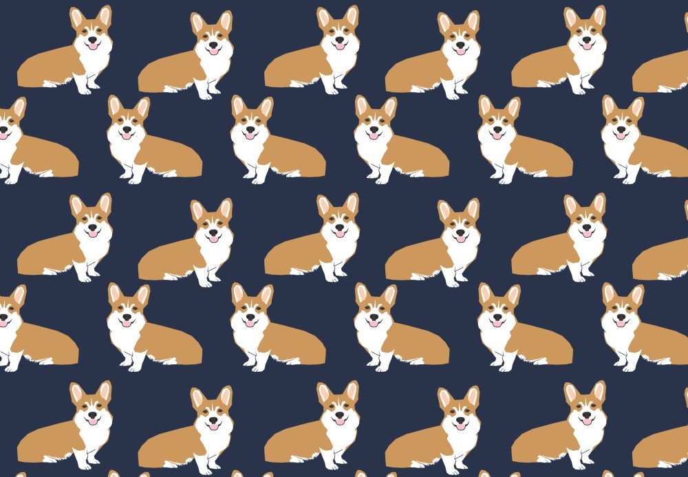 Корги обои
