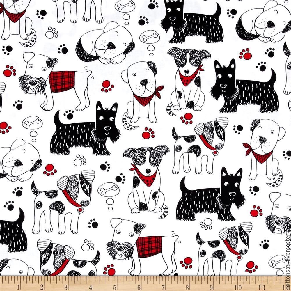 Фон с котиками