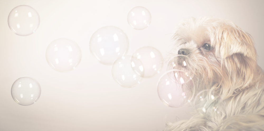 Фон для груминга