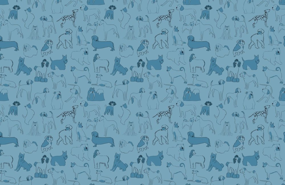 Паттерн собаки и кошки