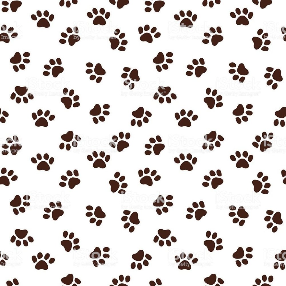 Паттерн кошачьи лапки