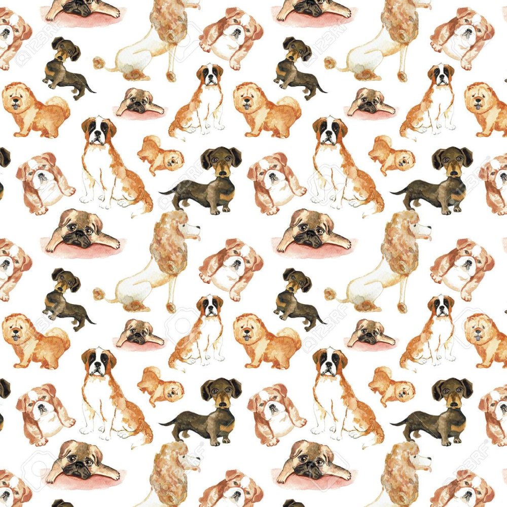 Обои с принтом собаки