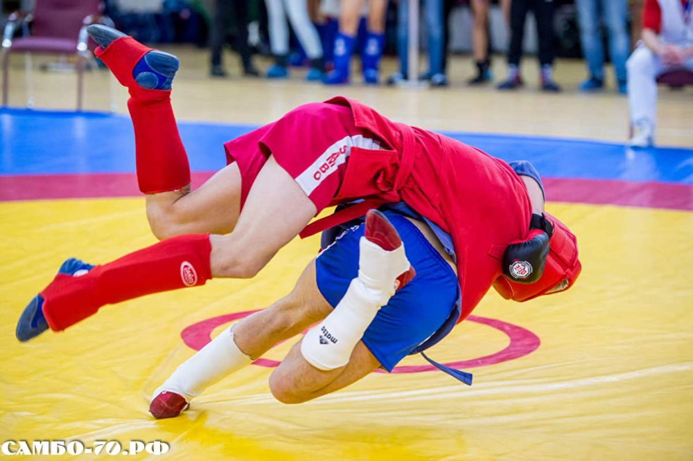 Самбо рисунок