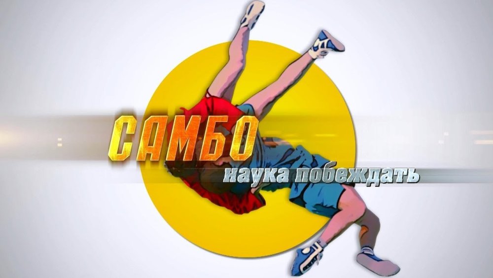 Боевое самбо Великие Луки