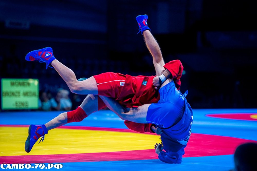 Боевое самбо арт