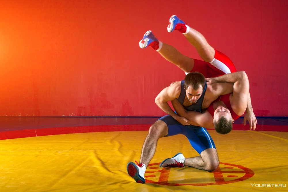 Борцы вид сверху