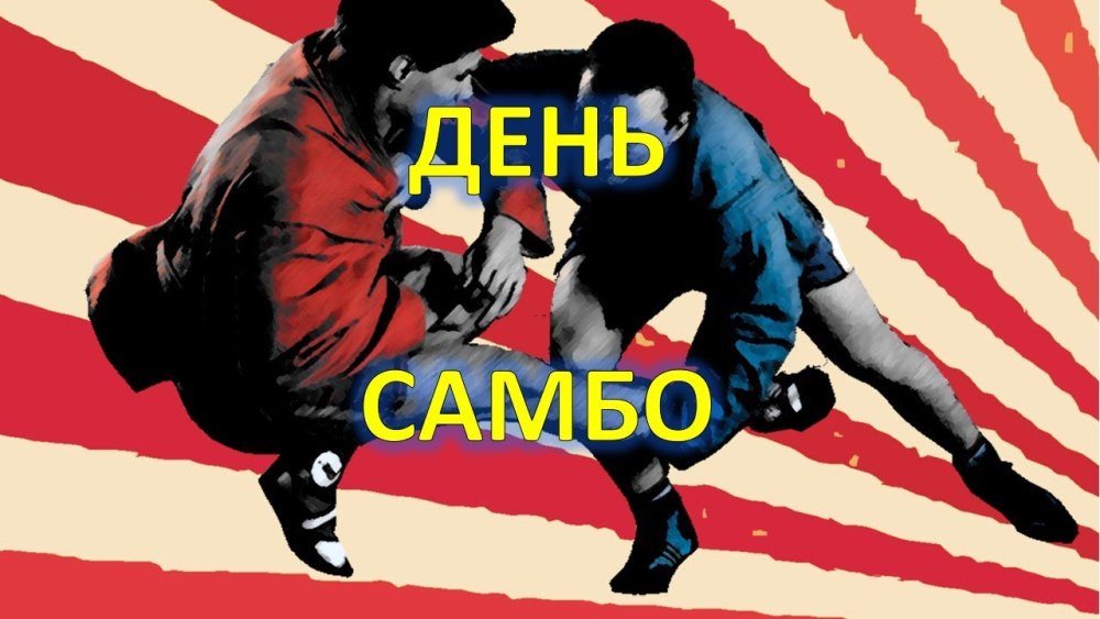 Дзюдо боевое искусство