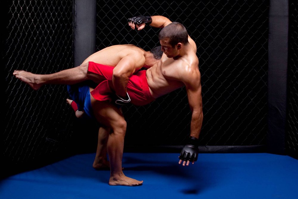 Борцы самбо