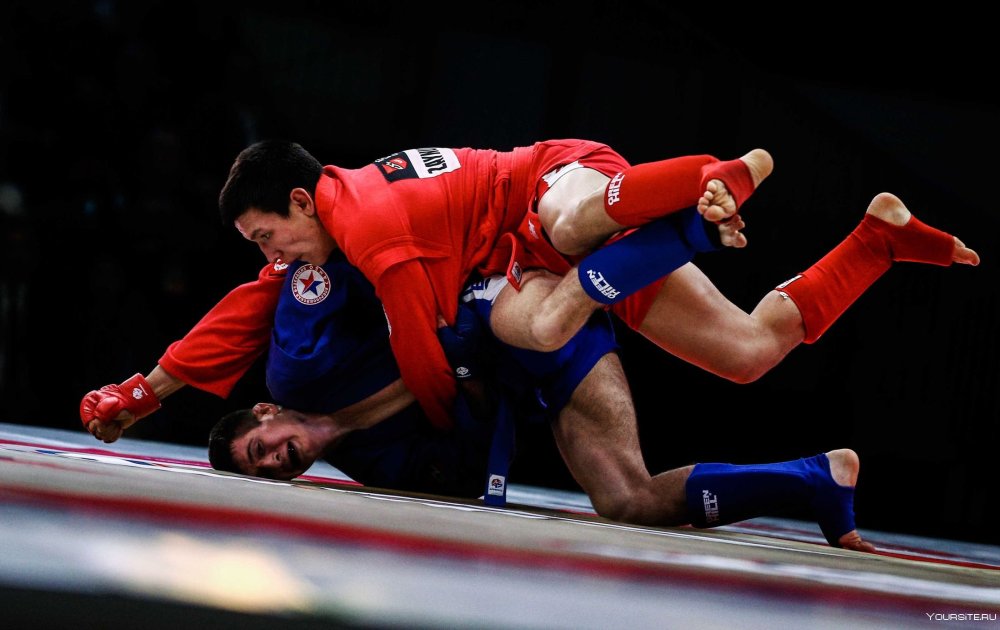 Малыш самбист