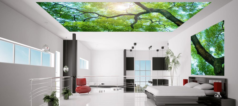 Рсс Элит натяжные потолки Астрахань