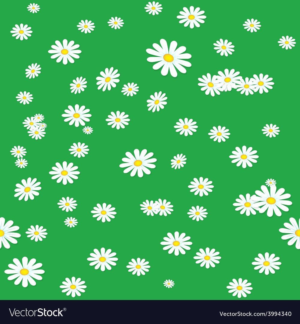 Зеленый фон с ромашками вектор