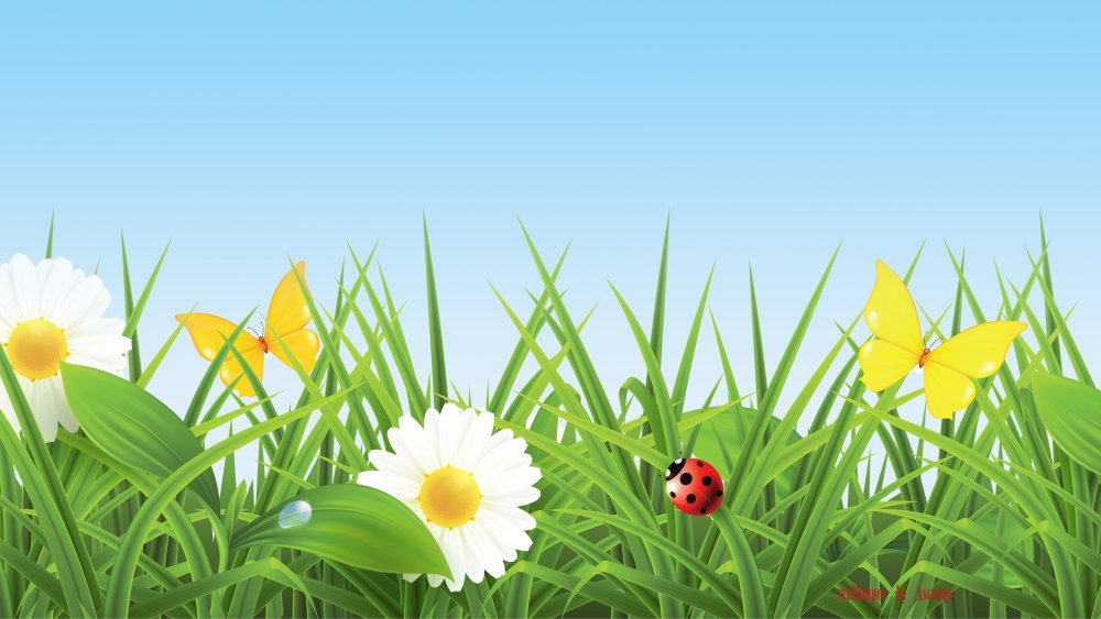 Лужайка с цветами для детей