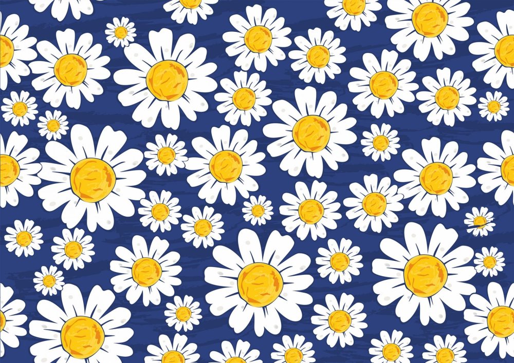 Алексей Сергиенко ромашки