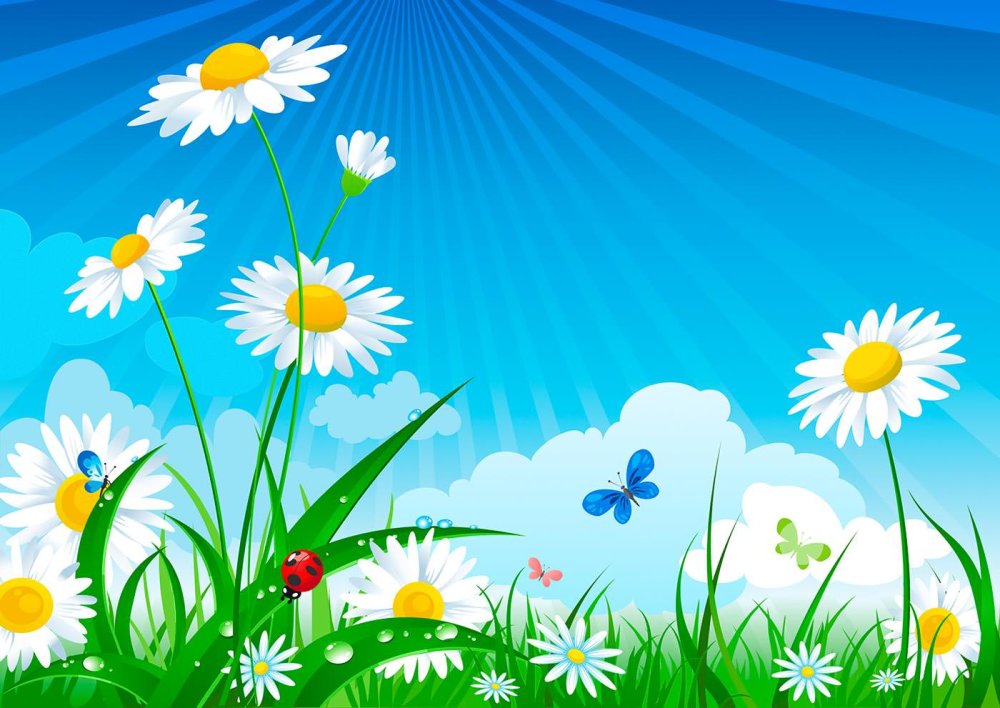 Ромашки паттерн