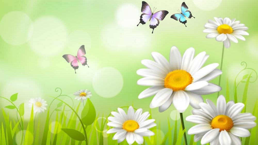 Ромашки детский фон