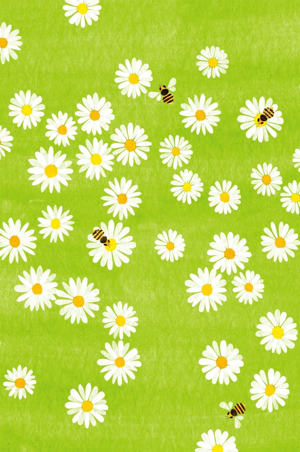 Фон ромашки