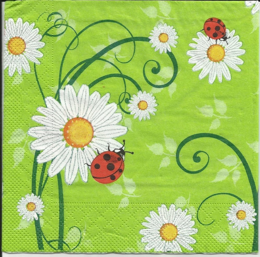 Ромашка вектор