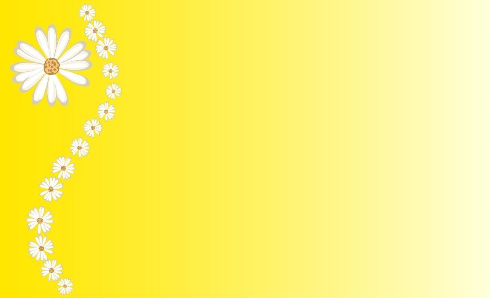 Ромашковое поле