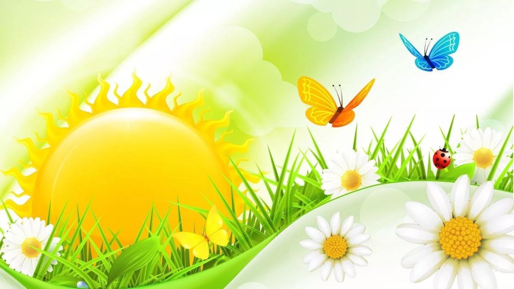 Фон ромашки