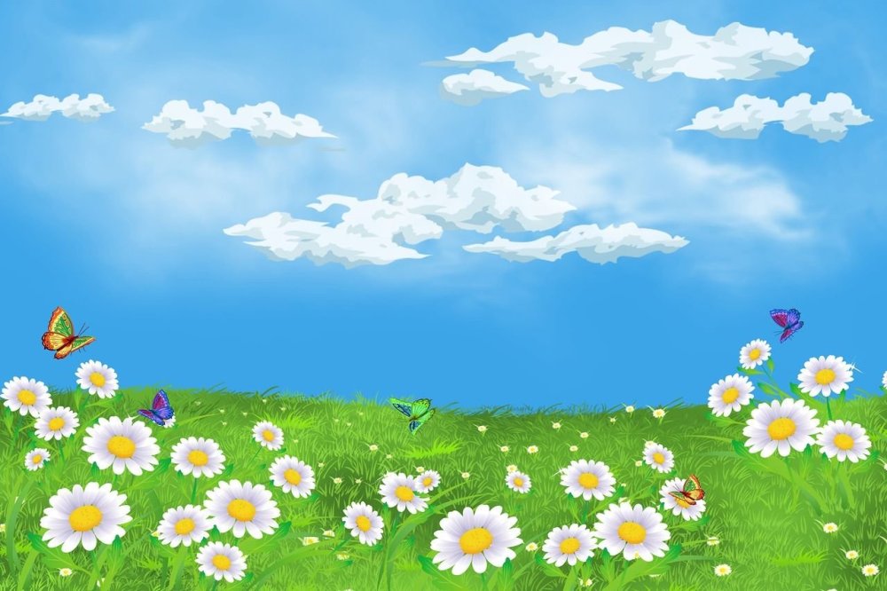 Поляна с цветами и бабочками