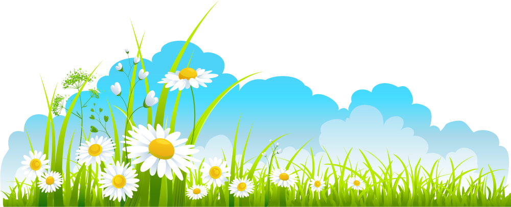 Летние фоны для детского сада