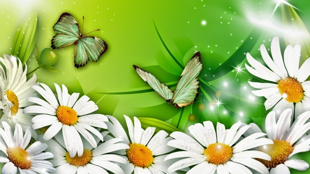 Ромашковое поле для детей