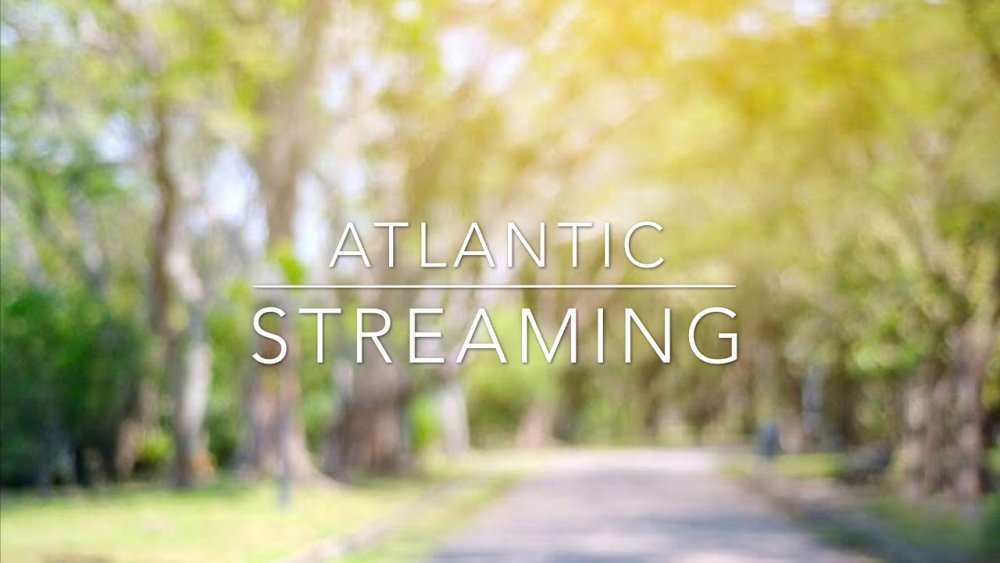 Парк размытый