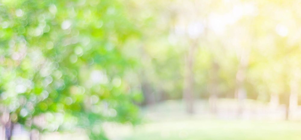 Размытый летний фон светлый
