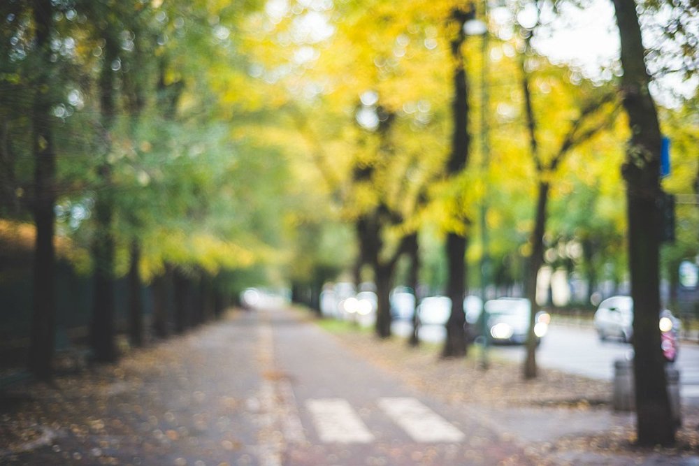 Размытый фон улицы с деревьями