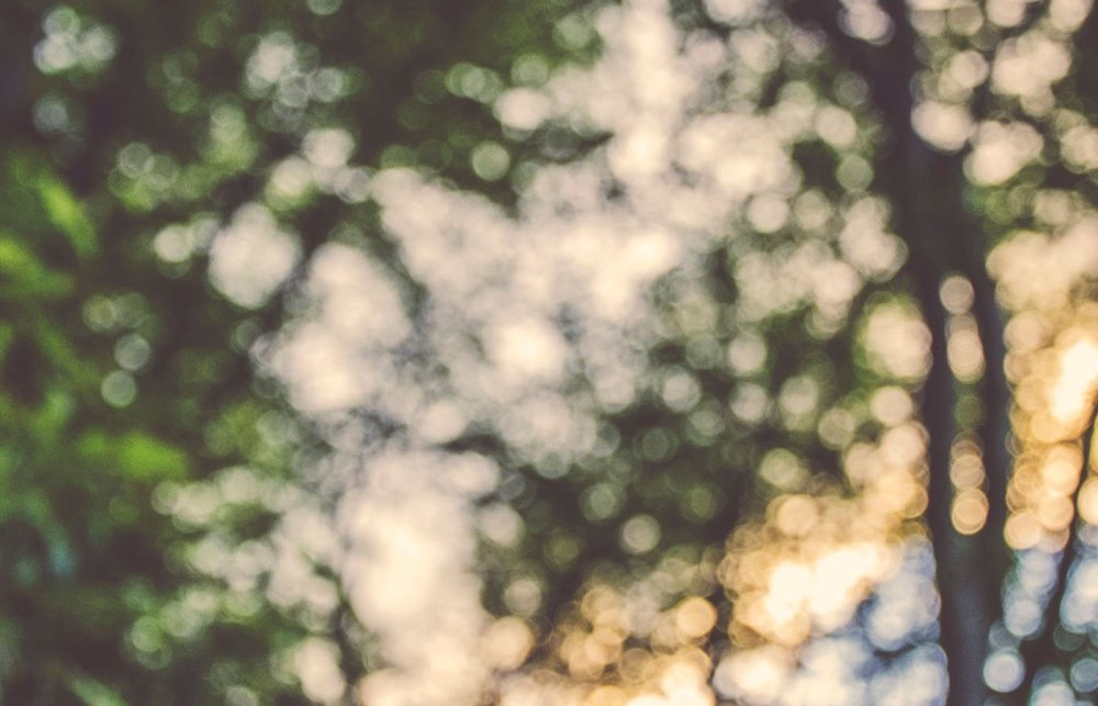 Размытый фон дом