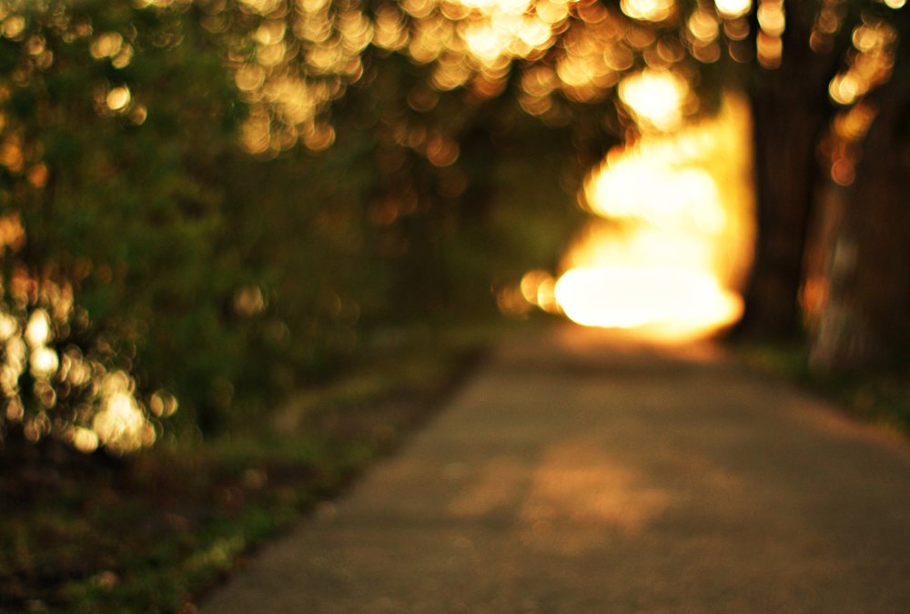 Размытый летний пейзаж