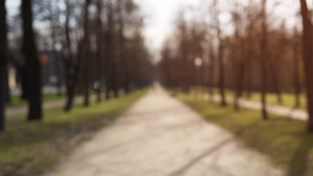 Парк размытый